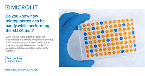 elisa test lab report|what does elisa detect.